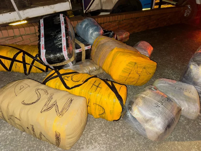 The drugs and illicit goods that were confiscated.