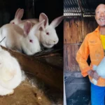 William Hleza with the rabbits he received from DARDLEA.