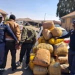 The dagga that was recoverd by the police.