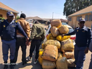 The dagga that was recoverd by the police.
